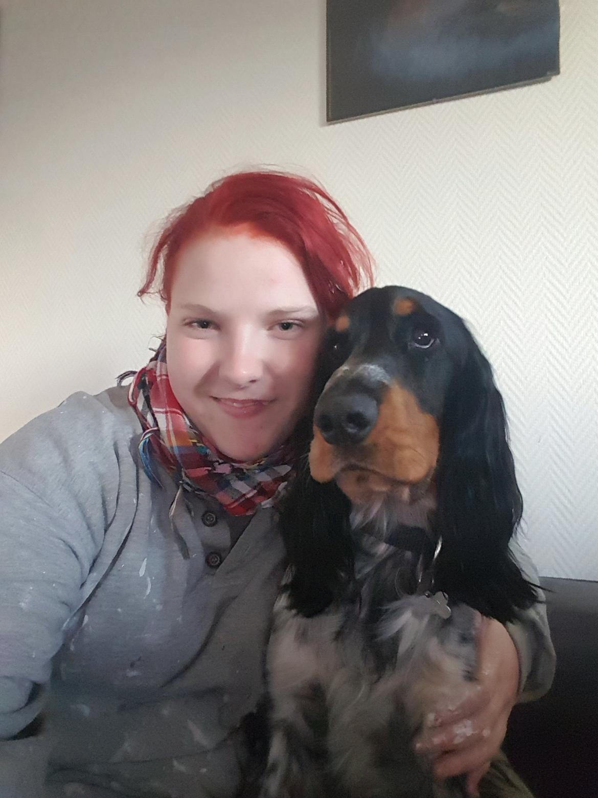 Cocker spaniel Joey billede 8