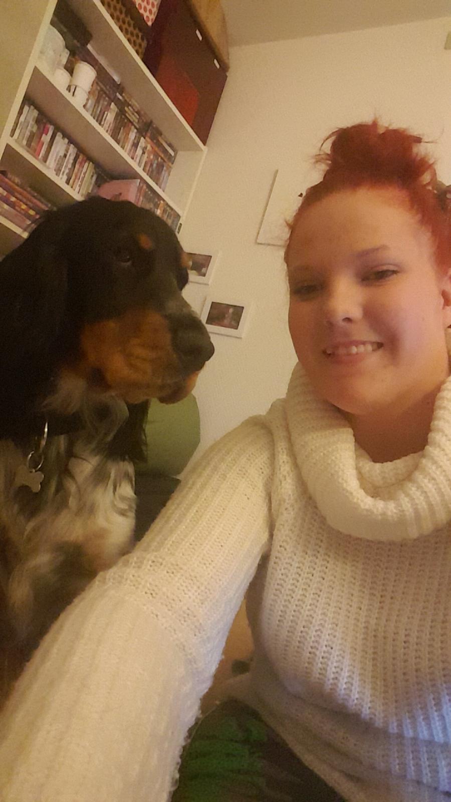 Cocker spaniel Joey billede 30