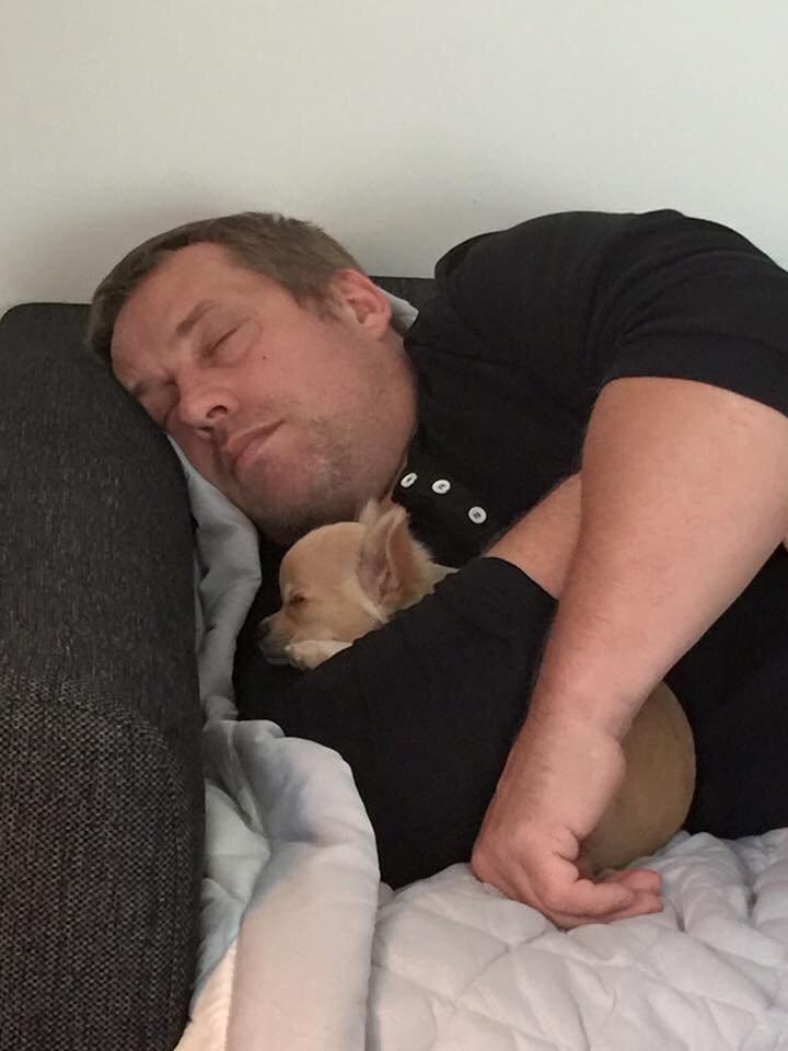 Chihuahua Manøs Oluf (Olaf) billede 6