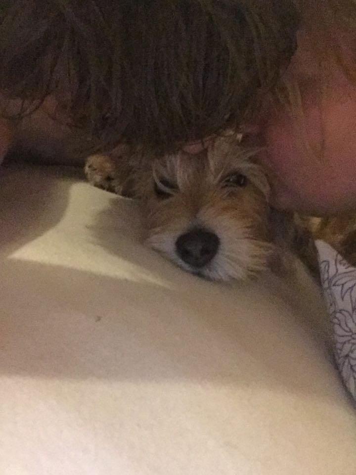 Blanding af racer Anton billede 3