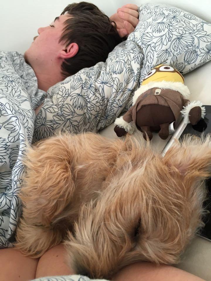 Blanding af racer Anton - Normal morgen <3 billede 11