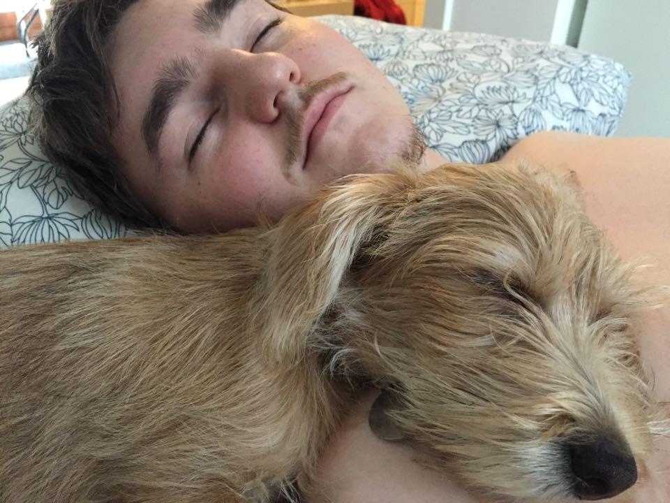 Blanding af racer Anton billede 13