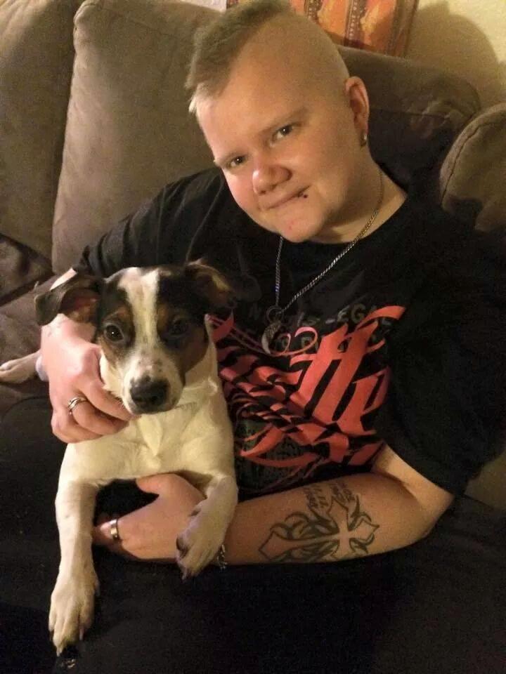 Dansk svensk gaardhund pepsi billede 4