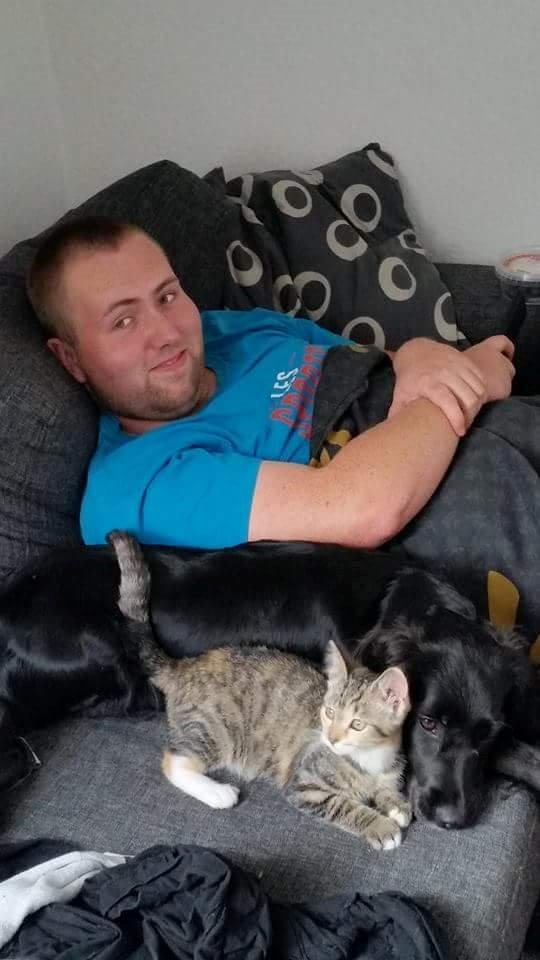 Blanding af racer Kasey billede 25