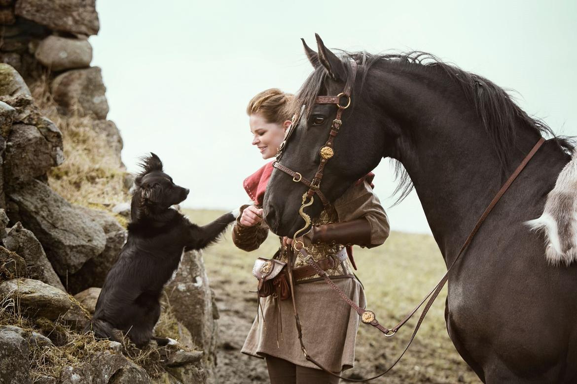 Blanding af racer Superhunden Molly - Foto: Tales by Sipo billede 13