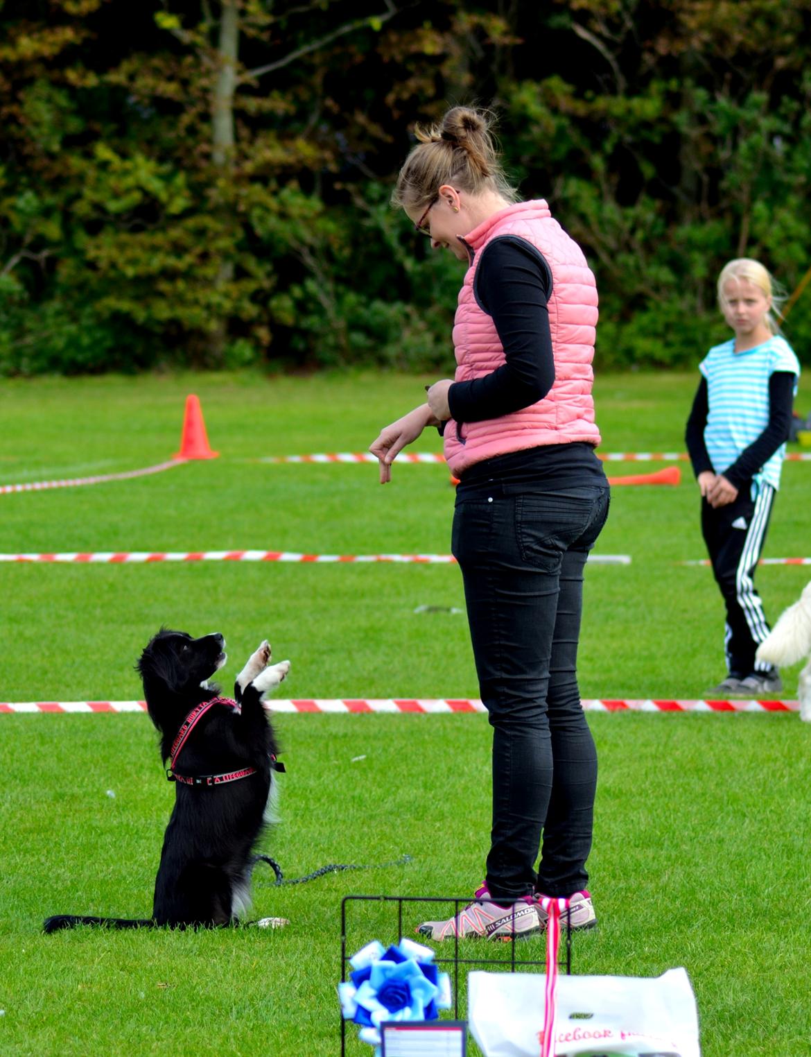 Blanding af racer Superhunden Molly - Hundedag 2015 billede 24