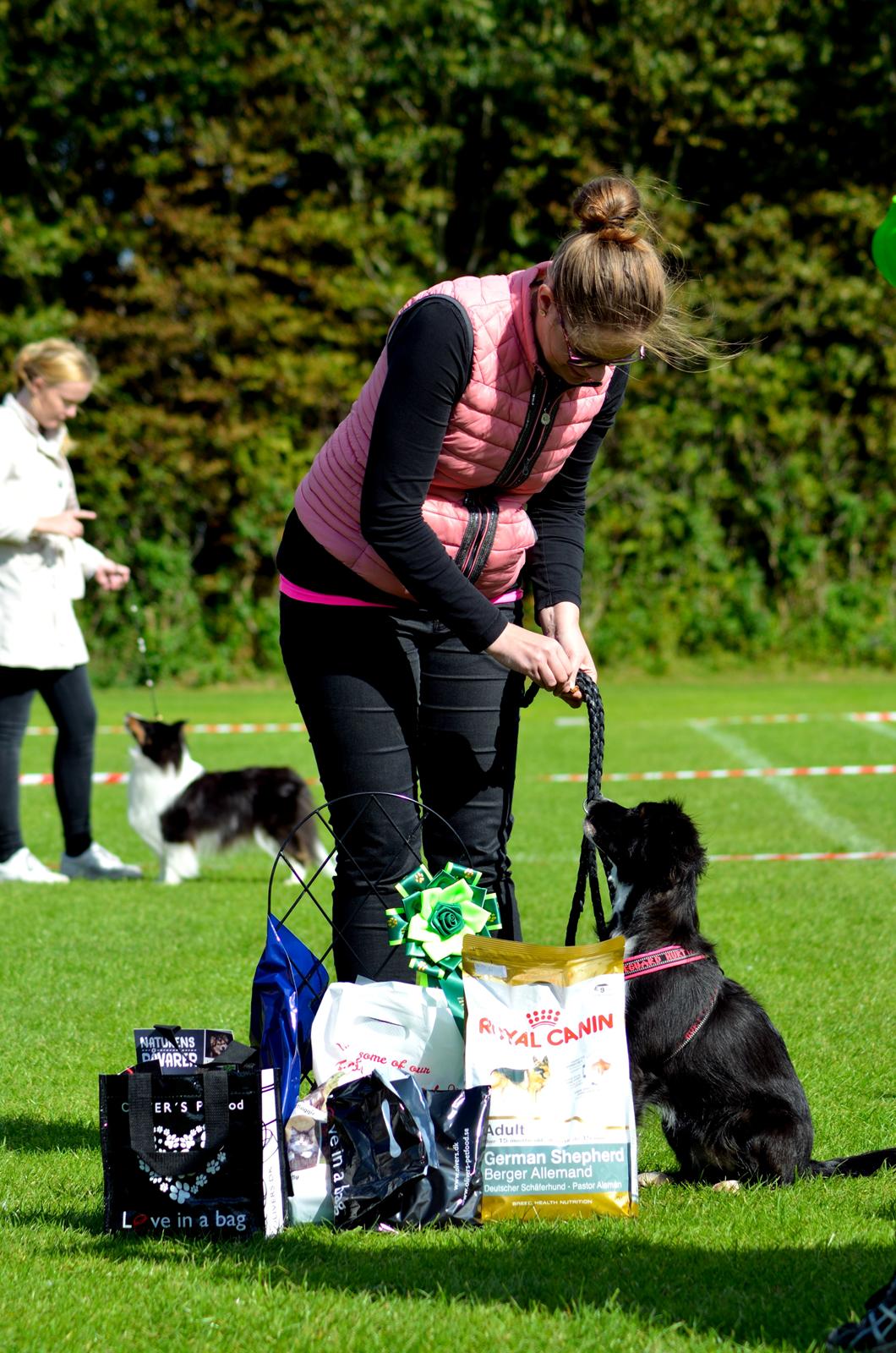 Blanding af racer Superhunden Molly - Hundedag 2015 billede 26