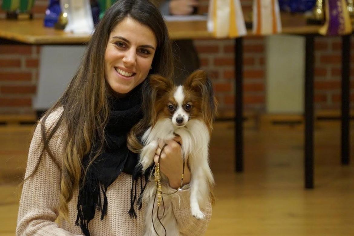 Papillon Askepot's Nemo "Louie" billede 32