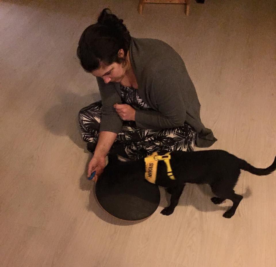 Blanding af racer Elvis - Dag 6, blevet introduceret for vippe brættet billede 19