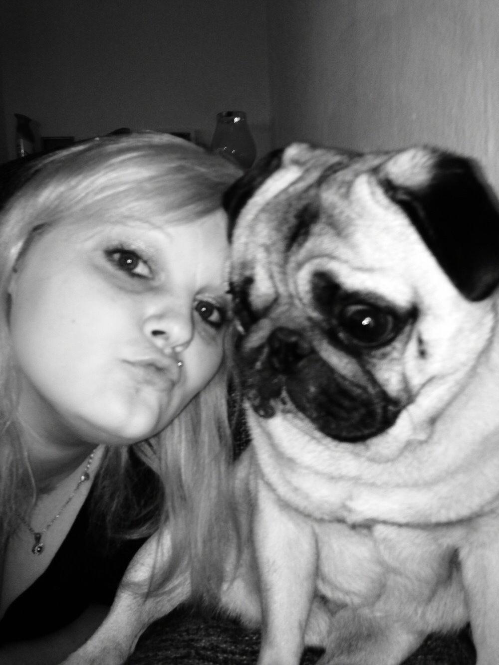 Mops Zacho billede 21