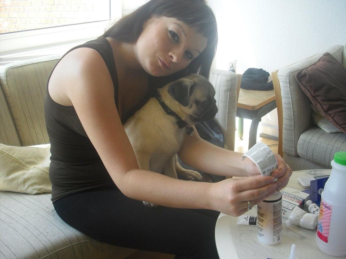 Mops Zacho billede 24