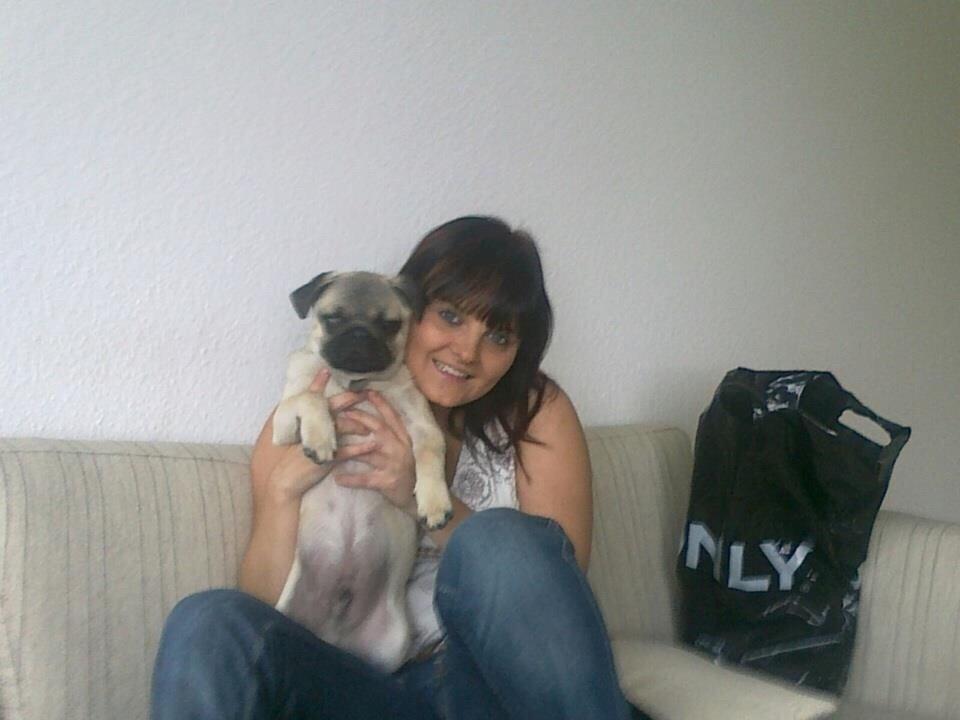 Mops Zacho billede 27