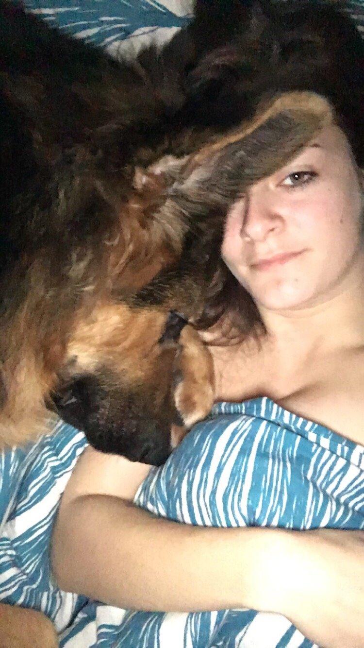 Schæferhund Kenzo billede 45