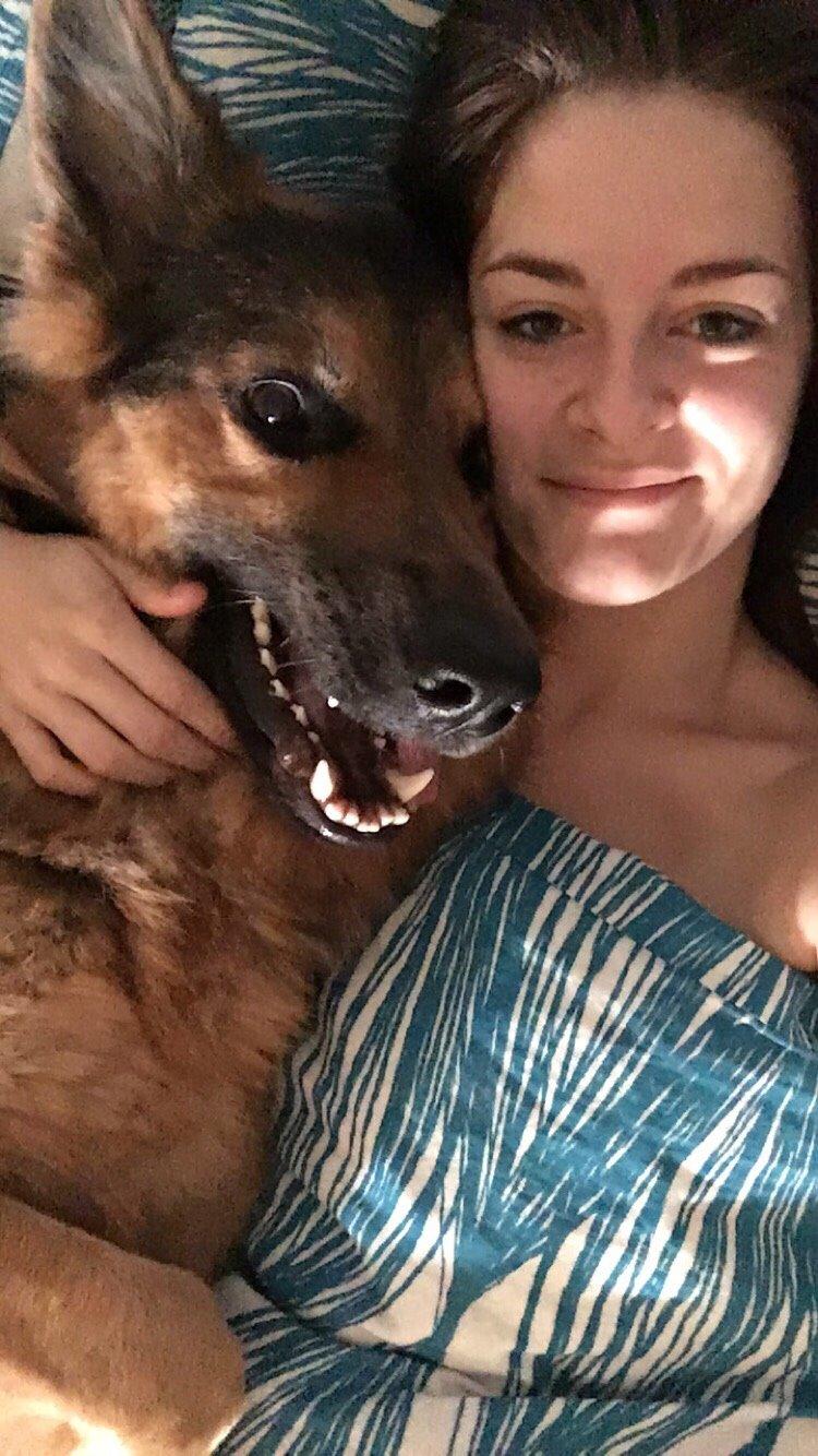 Schæferhund Kenzo billede 48