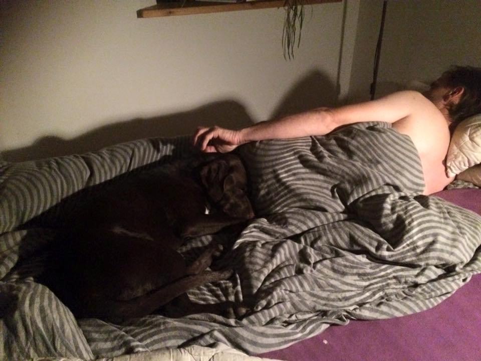 Blanding af racer Alma billede 9