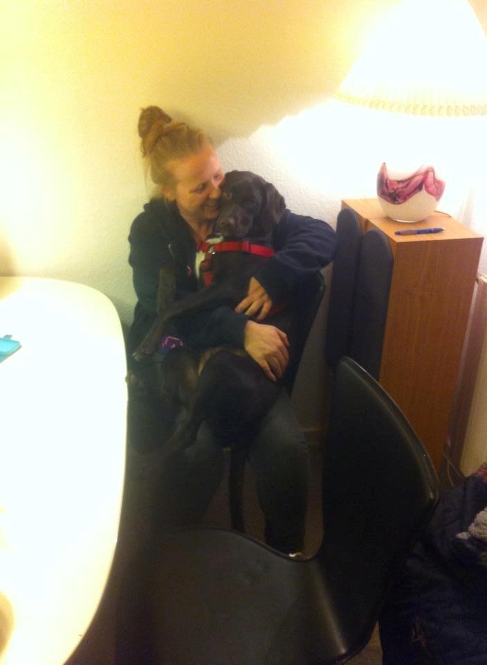 Blanding af racer Alma billede 11