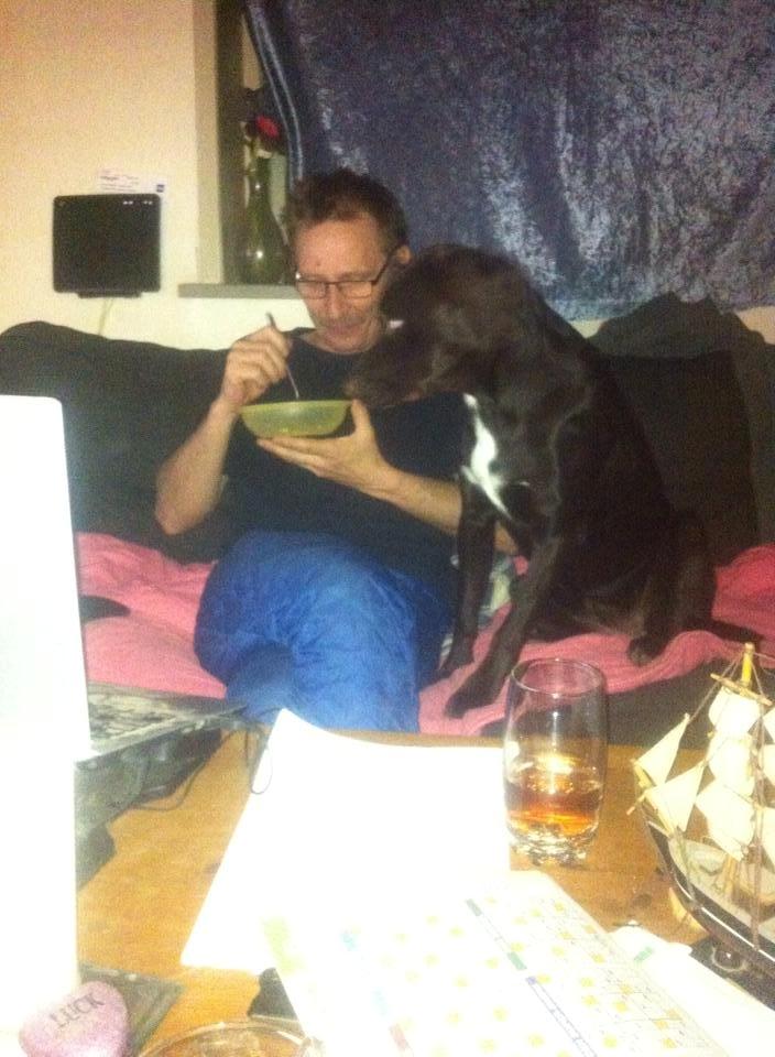 Blanding af racer Alma billede 12