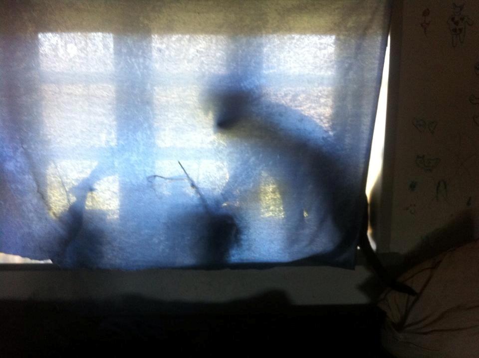 Blanding af racer Alma billede 18