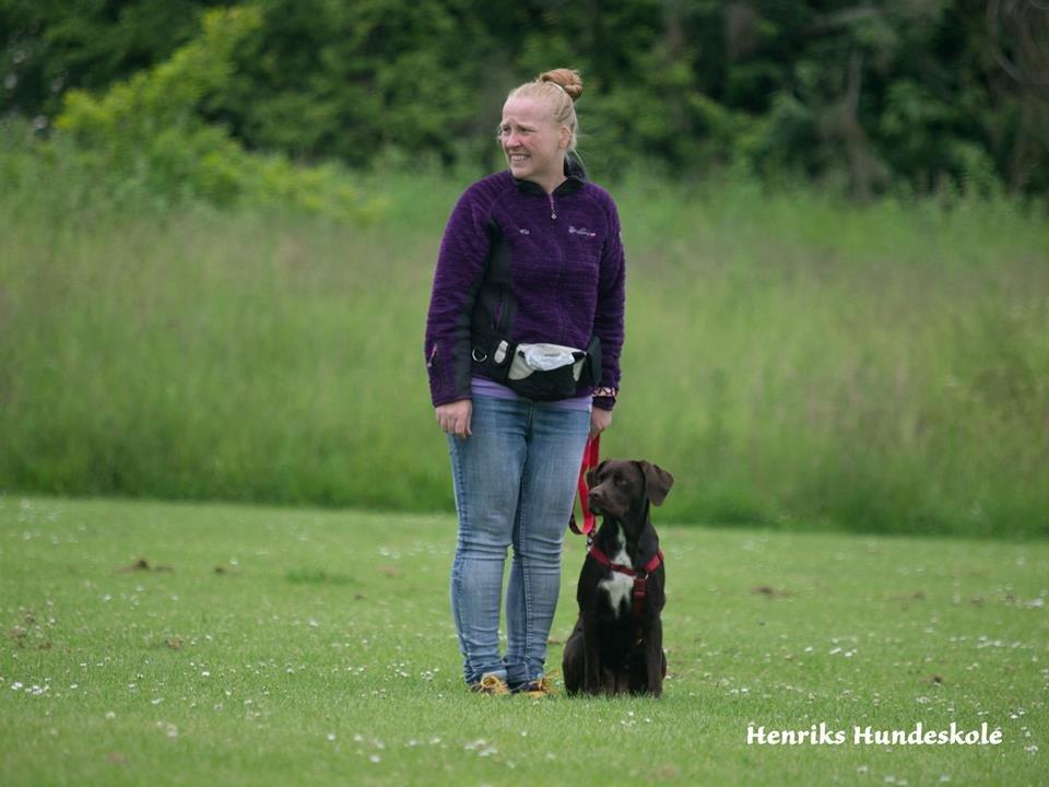 Blanding af racer Alma billede 19