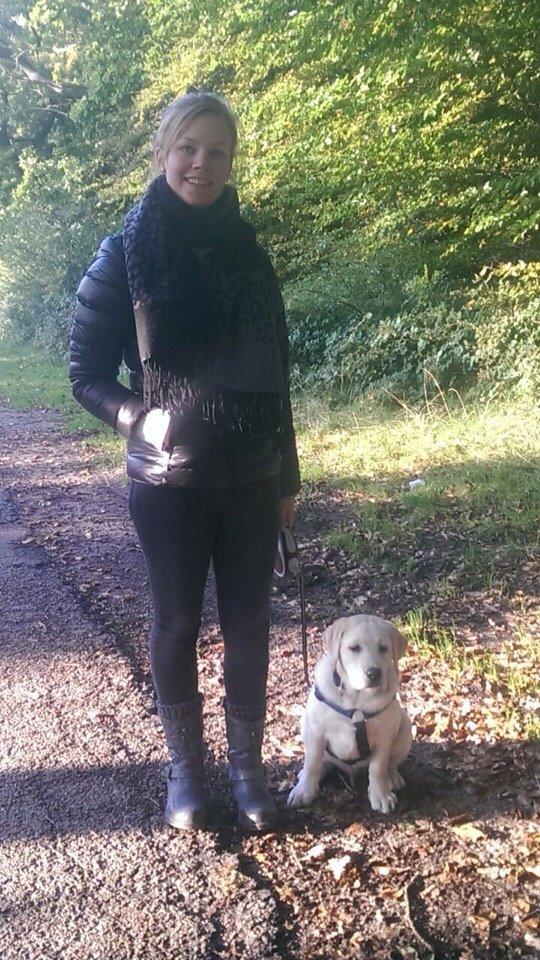 Labrador retriever Manze - Her er jeg som hvalp. billede 9