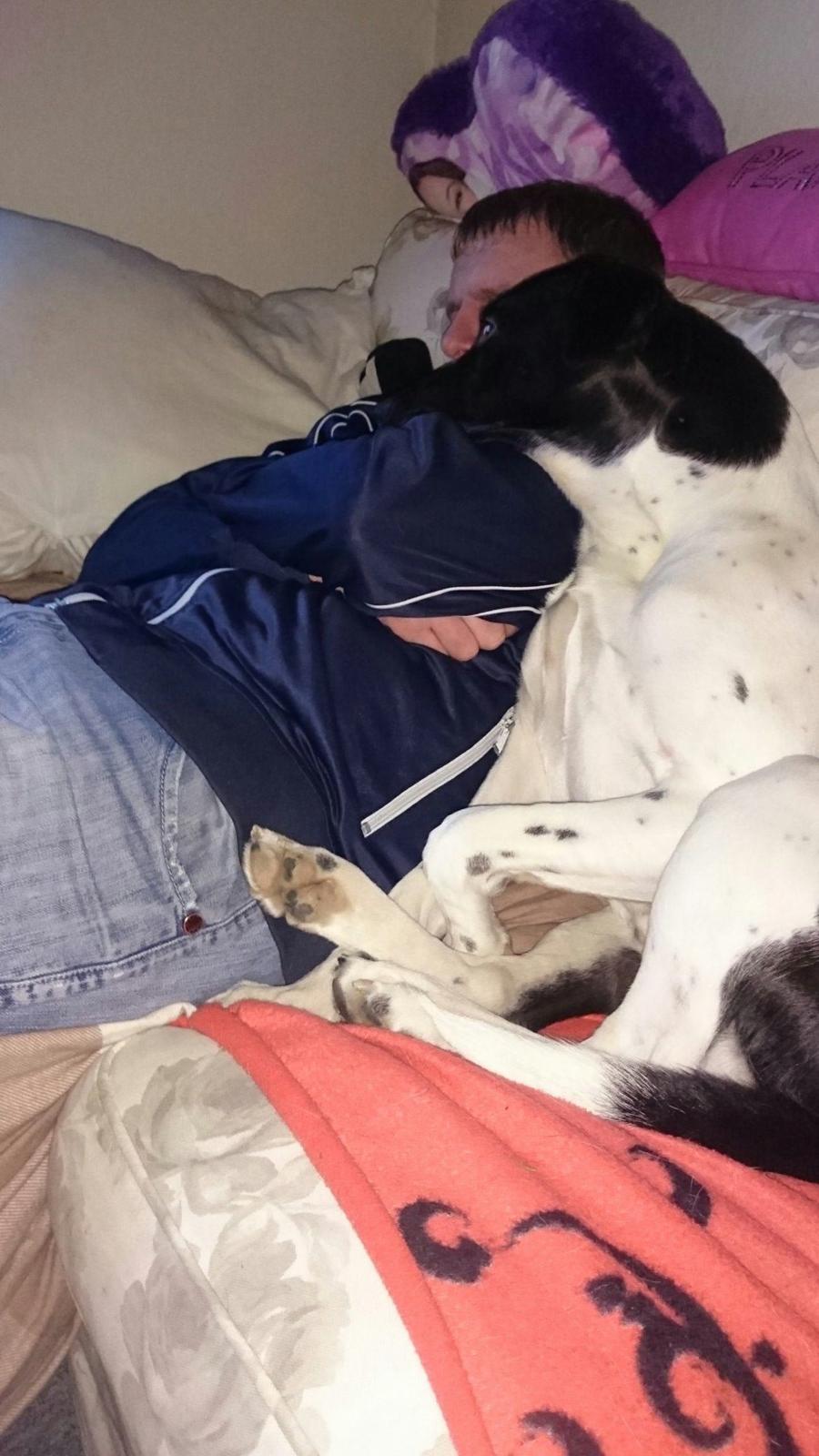 Blanding af racer Odin  billede 5