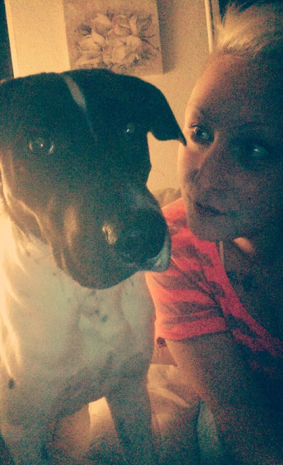 Blanding af racer Odin  billede 14