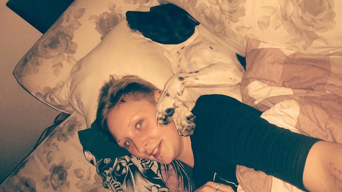 Blanding af racer Odin  billede 11