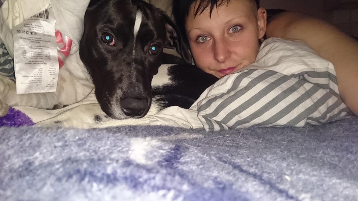 Blanding af racer Odin  billede 20