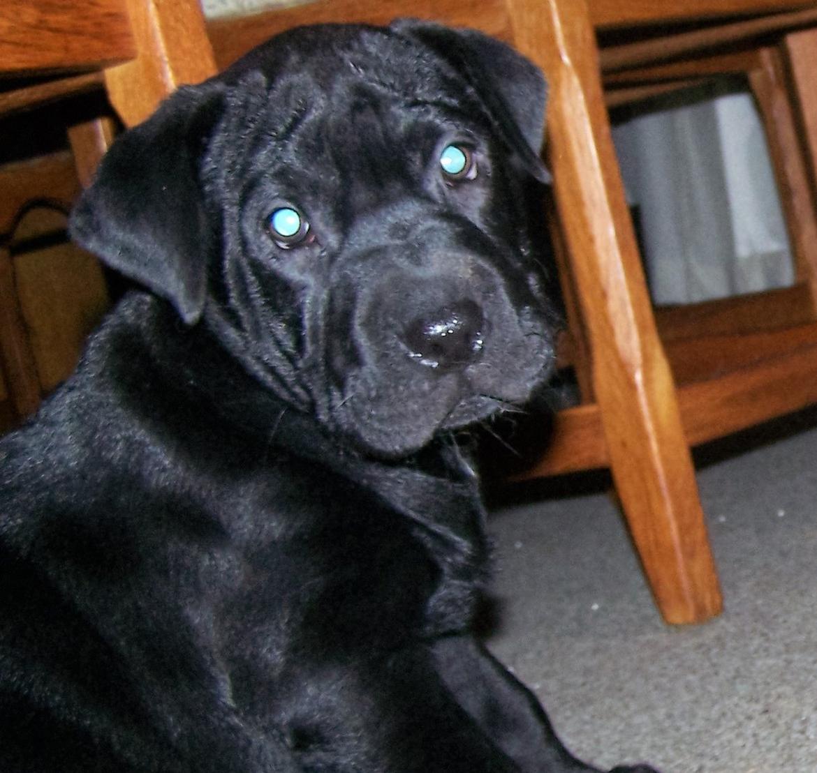 Blanding af racer Batman billede 6