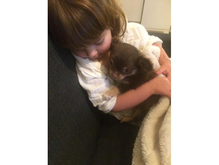 {{currentPhoto.altText}} billede {{currentPhoto.number}}