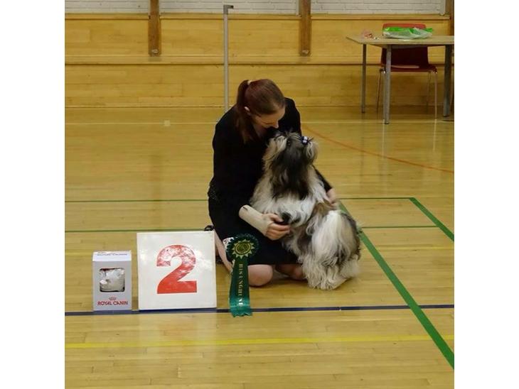 {{currentPhoto.altText}} billede {{currentPhoto.number}}