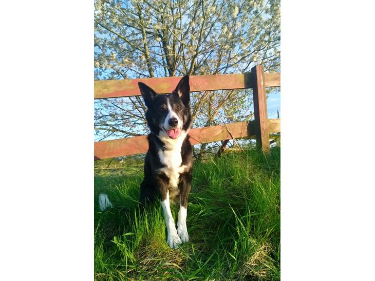 {{currentPhoto.altText}} billede {{currentPhoto.number}}