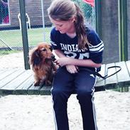 Gravhund Berta