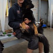 Blanding af racer Leika r.i.p. d. 19.05.18