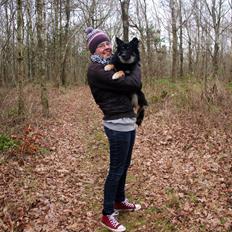 Islandsk fårehund Ásdis