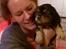 Cavalier king charles spaniel Matti