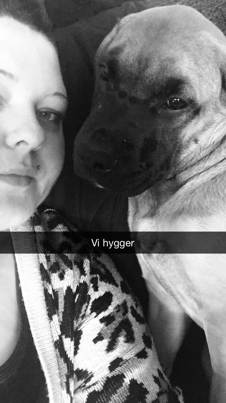 Blanding af racer King billede 32