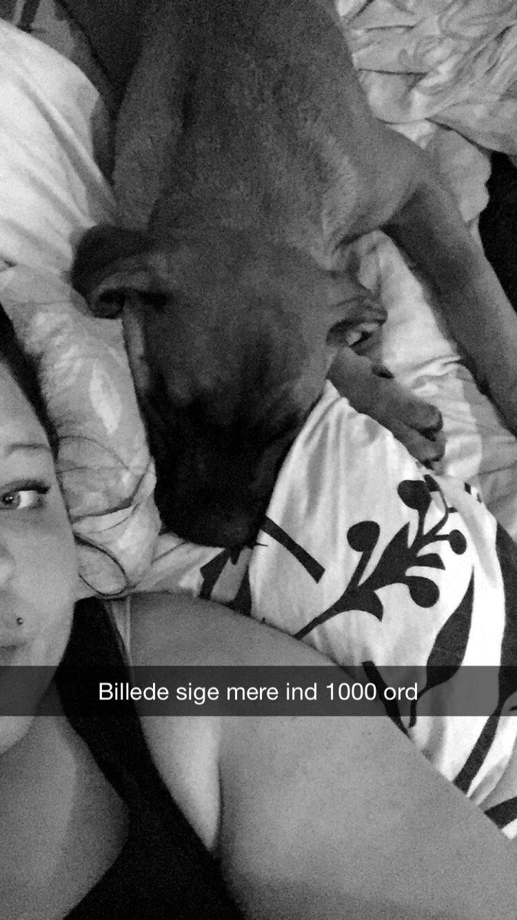 Blanding af racer King billede 35