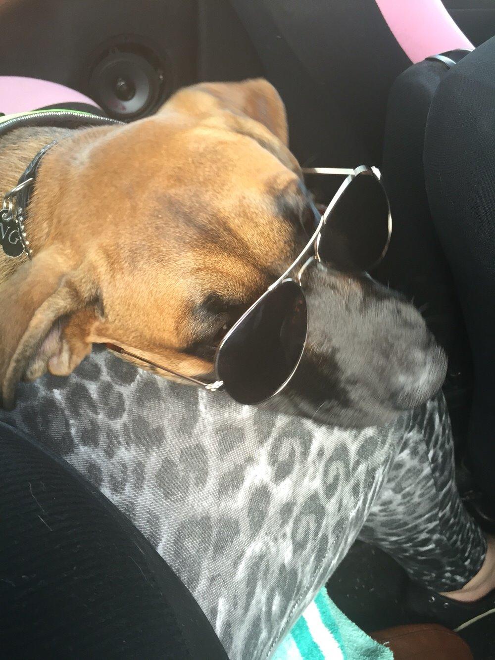 Blanding af racer King billede 38