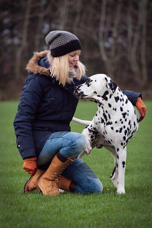 Dalmatiner Hugin (Spotdog's Everything Elegant) - 21½ mdr. gammel billede 15