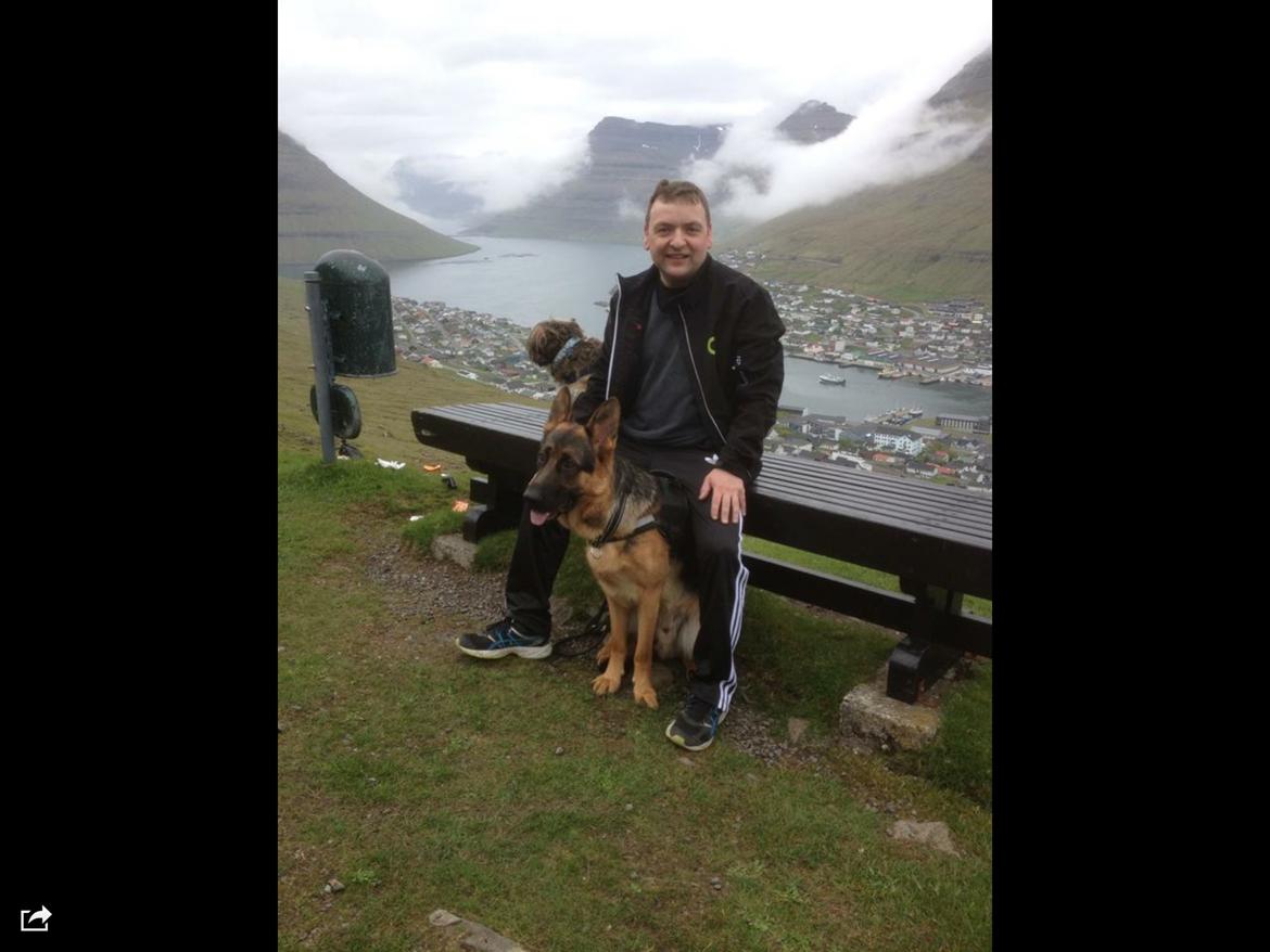 Schæferhund Roager's Onko Balto billede 3