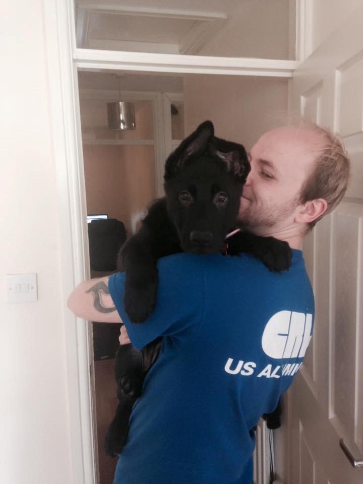 Schæferhund Bella billede 8