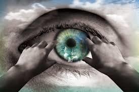 Dobermann Candy billede 4