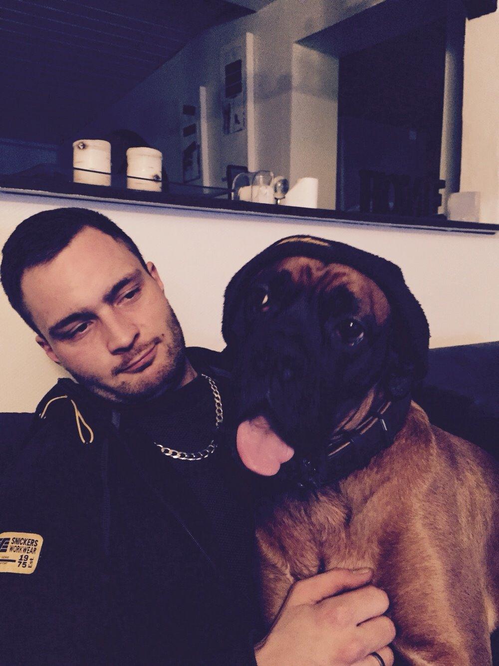 Boxer Bongo billede 5