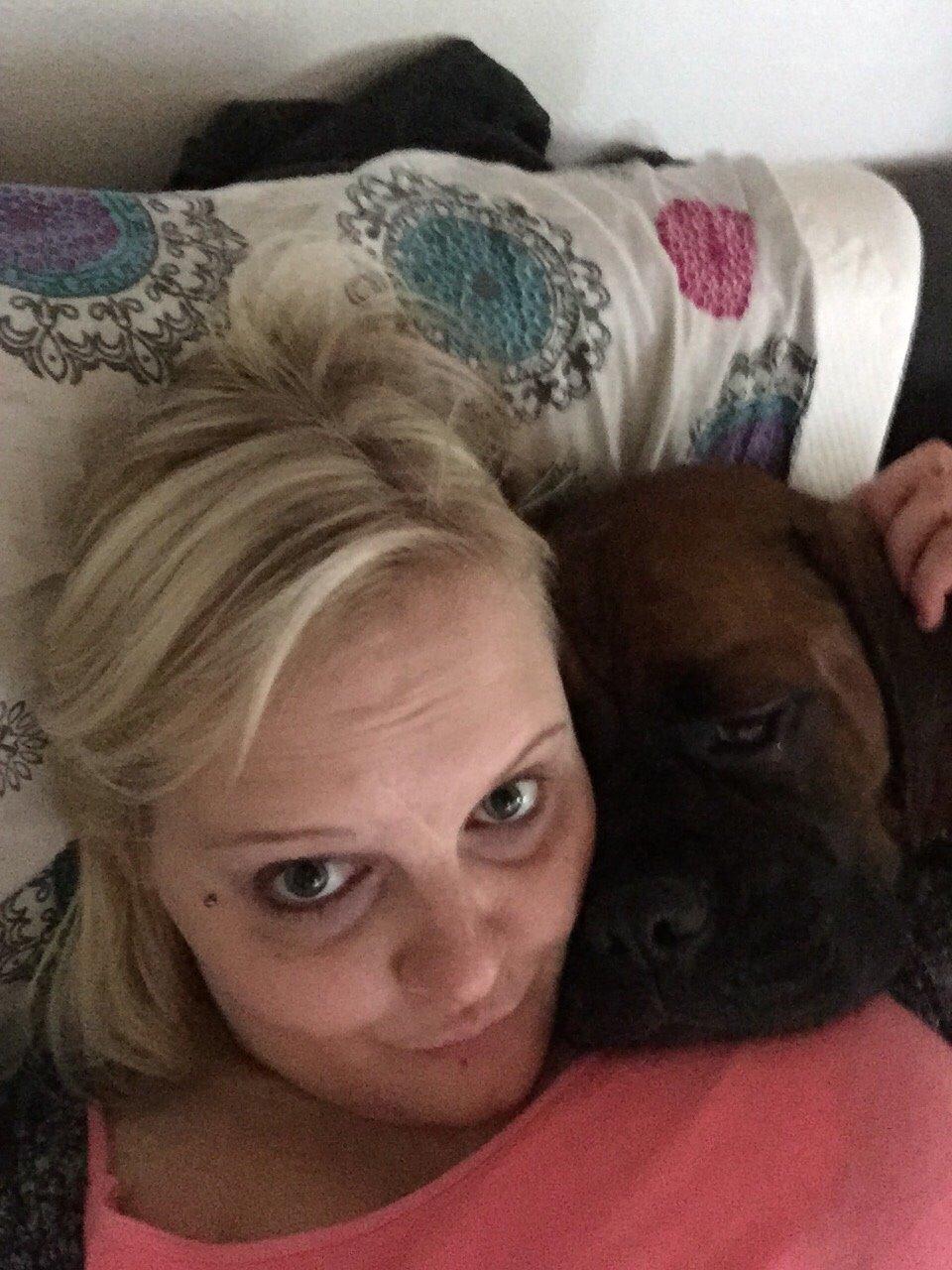 Boxer Bongo billede 6