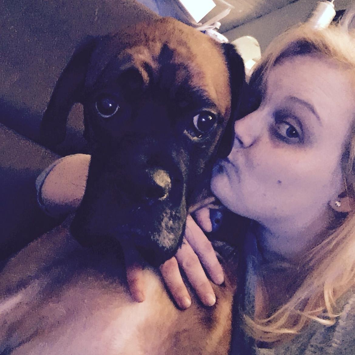 Boxer Bongo billede 16