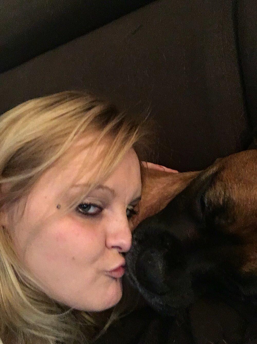 Boxer Bongo billede 21