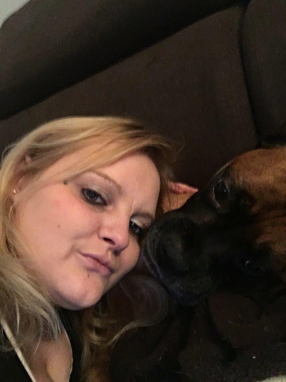 Boxer Bongo billede 22