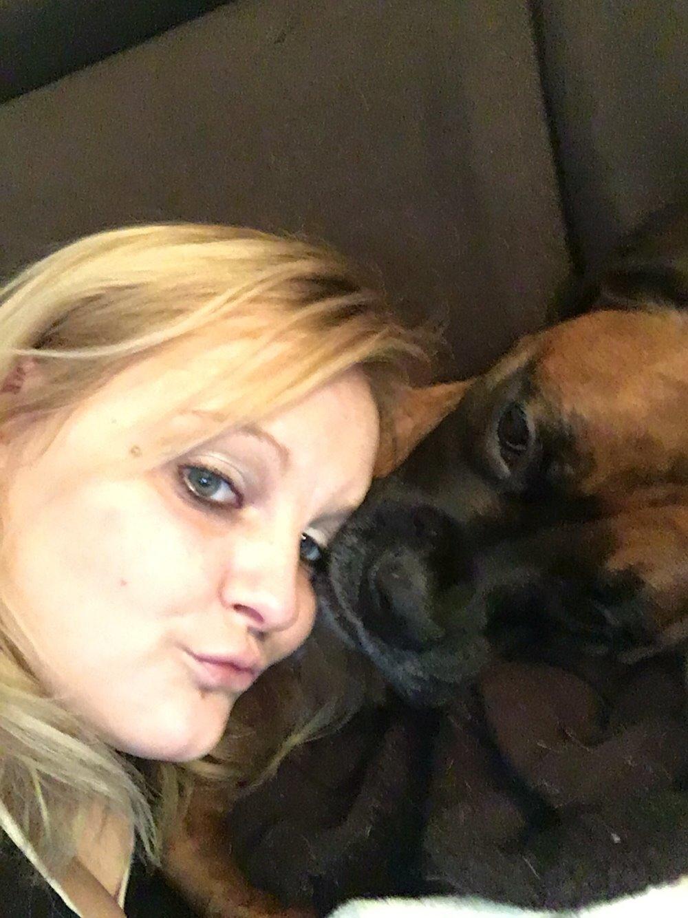 Boxer Bongo billede 23