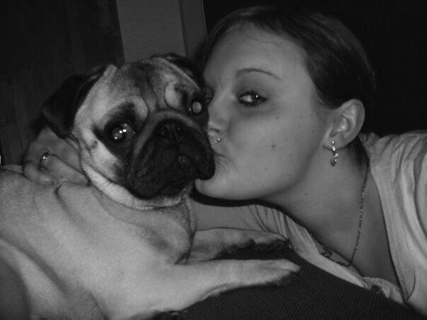 Mops Zacho billede 41